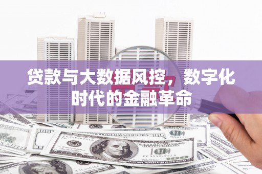 景县贷款与大数据风控，数字化时代的金融革命