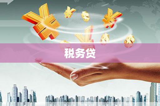 景县税务贷