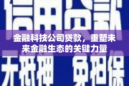 景县金融科技公司贷款，重塑未来金融生态的关键力量