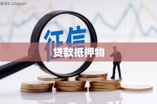景县贷款抵押物