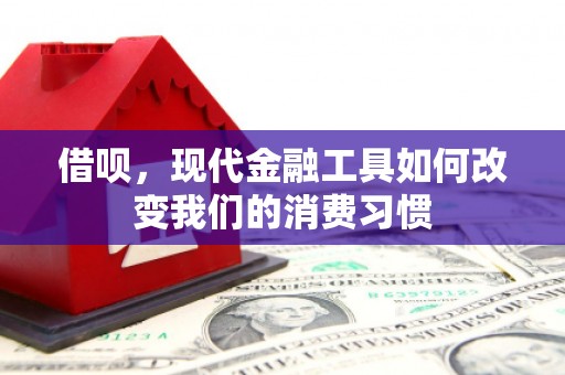 景县借呗，现代金融工具如何改变我们的消费习惯