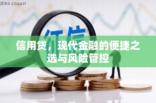 景县信用贷，现代金融的便捷之选与风险管控