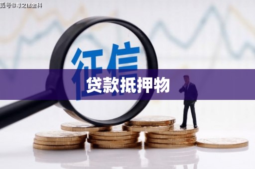 景县贷款抵押物