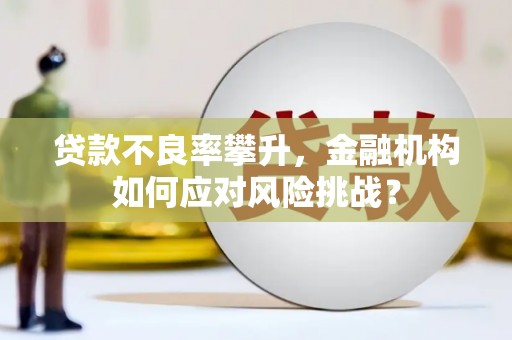 景县贷款不良率攀升，金融机构如何应对风险挑战？