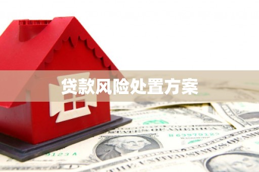景县贷款风险处置方案