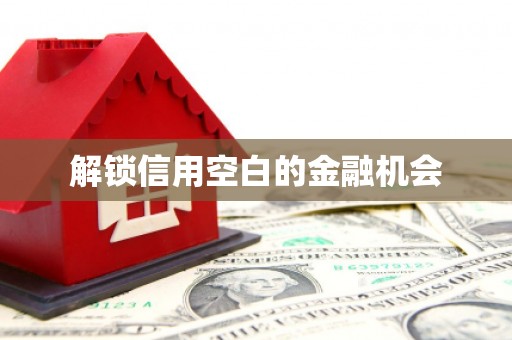 景县解锁信用空白的金融机会