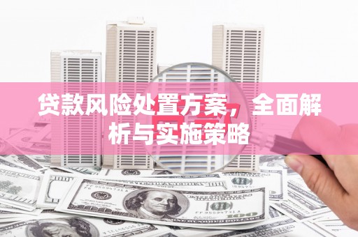 景县贷款风险处置方案，全面解析与实施策略