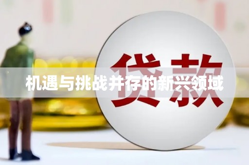 景县机遇与挑战并存的新兴领域