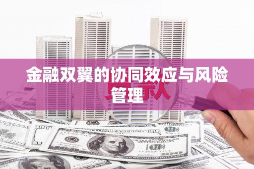 景县金融双翼的协同效应与风险管理